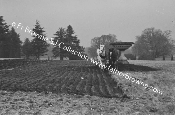 FIRST PLOUGHING OF GARDEN